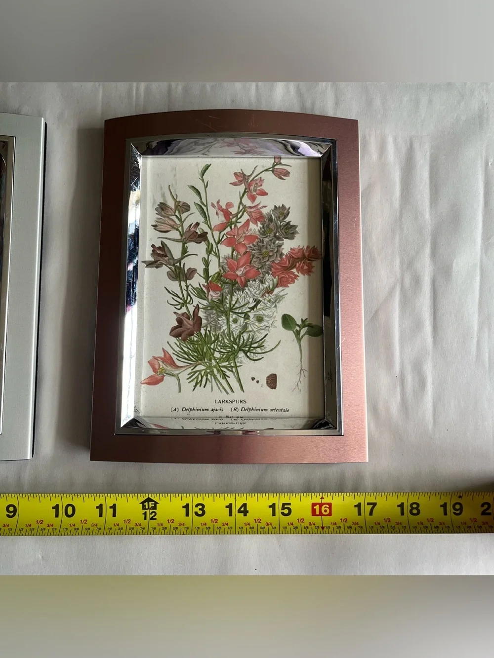 Silver & Rose Tone Resin Picture Photo Frames w/ Fine Art Prints-Set of 2